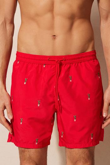 Intimssimi Embroidered Cactus Swim Trunks Print | PENEJ41340