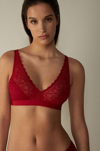 Intimssimi Lara Triangle Bra in Lace Rojas | GPEEC73874