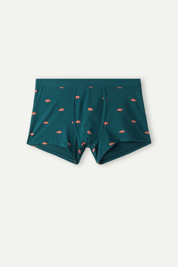 Intimssimi Clownfish Boxers in Natural Fresh Supima® Cotton Verde | LPESX18210