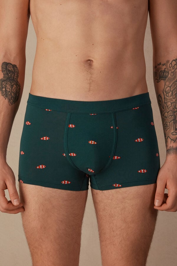 Intimssimi Clownfish Boxers in Natural Fresh Supima® Cotton Verde | LPESX18210