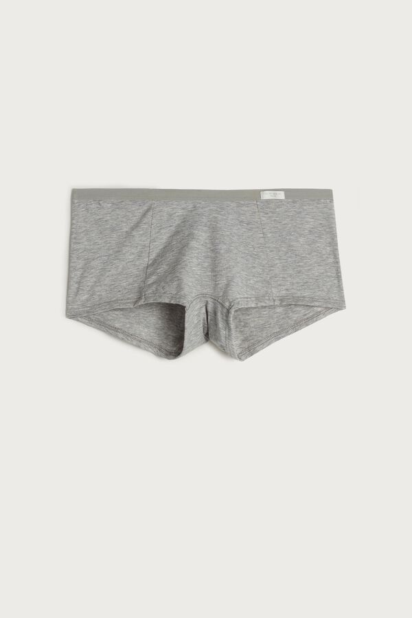 Intimssimi Cotton Boyshorts Gris | EPEVG66564