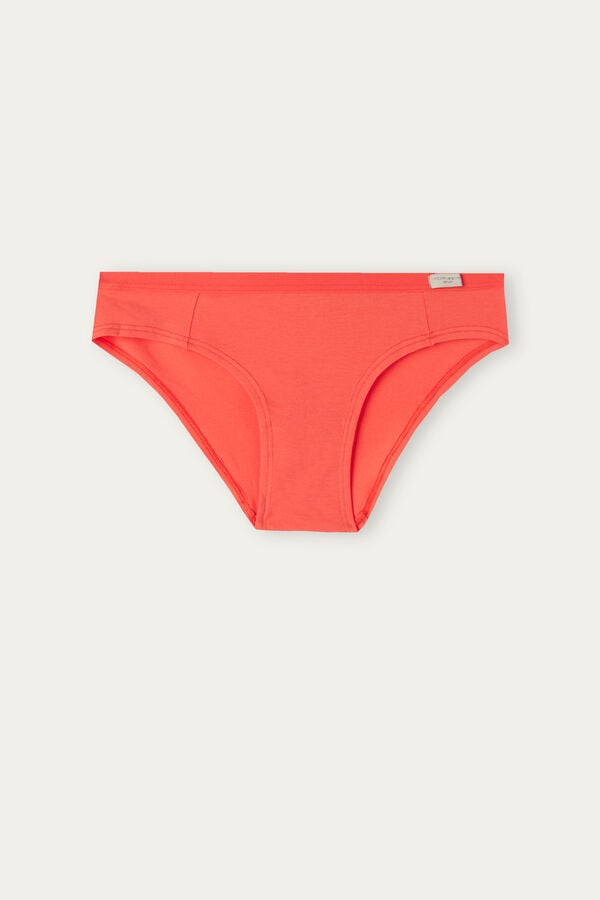 Intimssimi Cotton Panties Naranjas | PEZDE89749