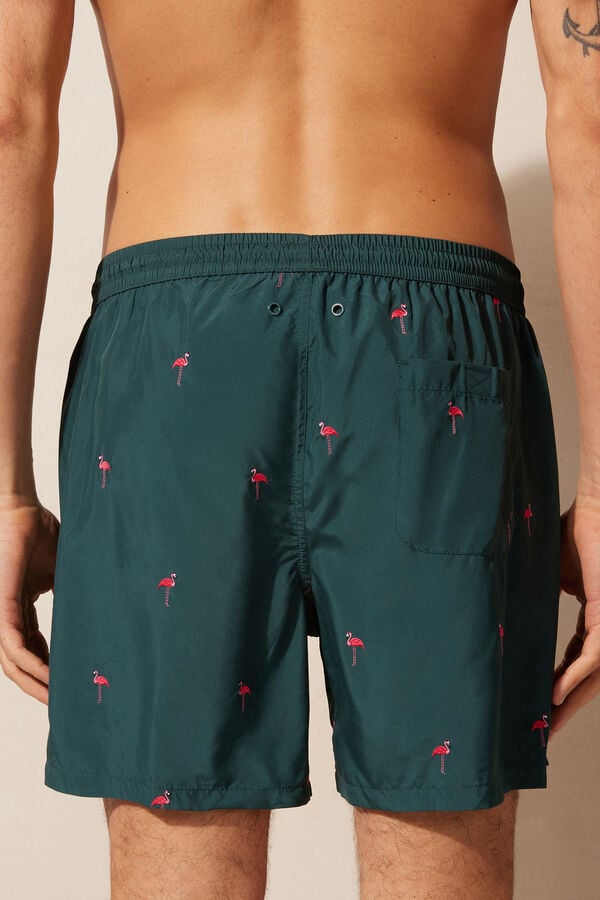 Intimssimi Embroidered Flamingo Swim Trunks Verde | YPEGT59989