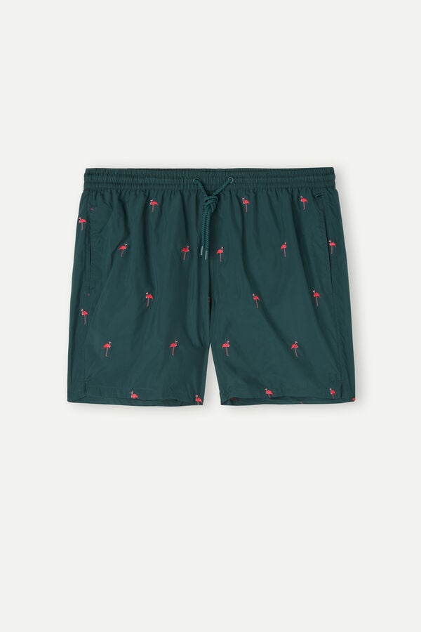 Intimssimi Embroidered Flamingo Swim Trunks Verde | YPEGT59989