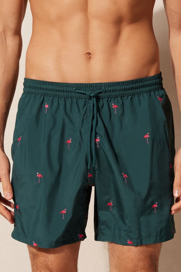 Intimssimi Embroidered Flamingo Swim Trunks Verde | YPEGT59989