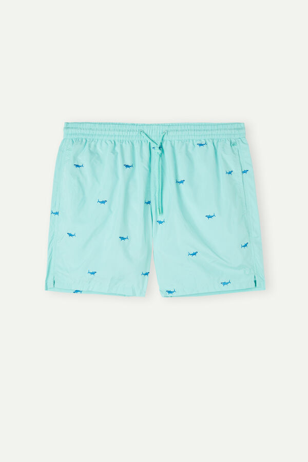 Intimssimi Embroidered Shark Swim Trunks Print | PEJVR65699