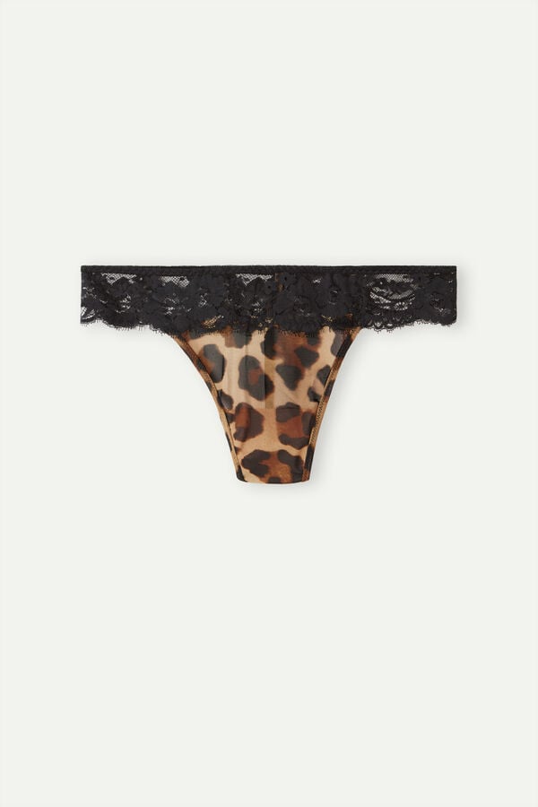 Intimssimi Lady Animalier Thong Marrones | PEQCS20086