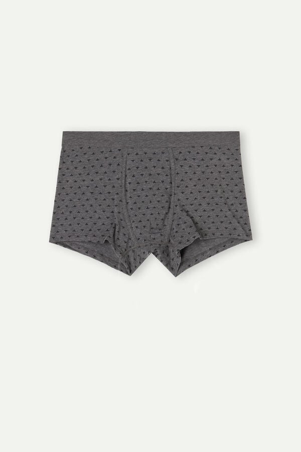 Intimssimi Lily Boxers in Stretch Supima® Cotton Gris | PEDFL93536