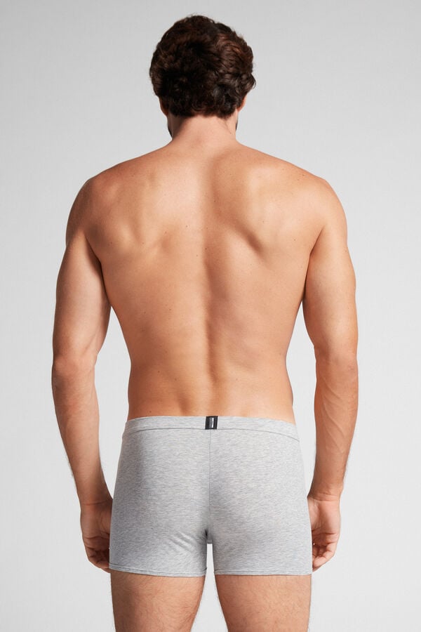 Intimssimi Natural Fresh Supima® Cotton Boxers Gris | PEQCS40371