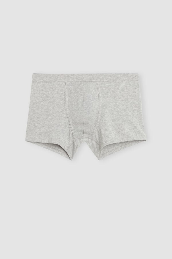 Intimssimi Supima® Cotton Loose Fit Boxers Gris | FPEHY34036